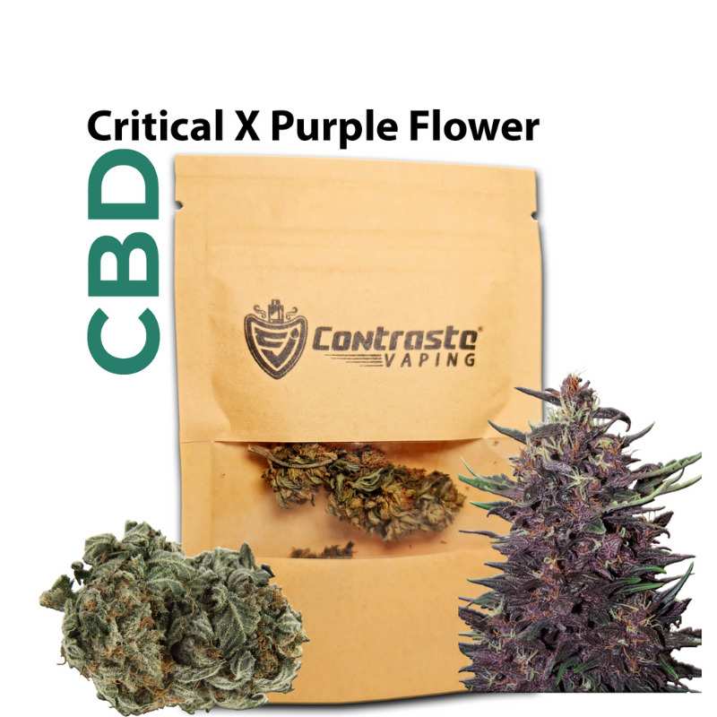 Contraste Vaping® Critical X Purple CBD